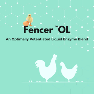 Fencer OL