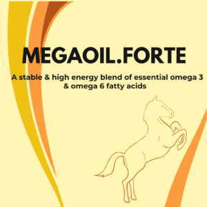 MegaOil.Forte