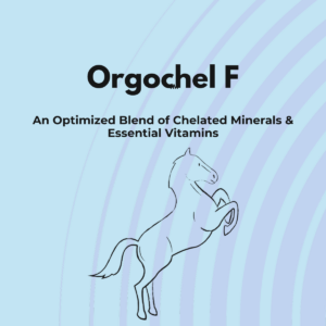 OrgoCHEL F