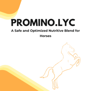 Promino.LYC